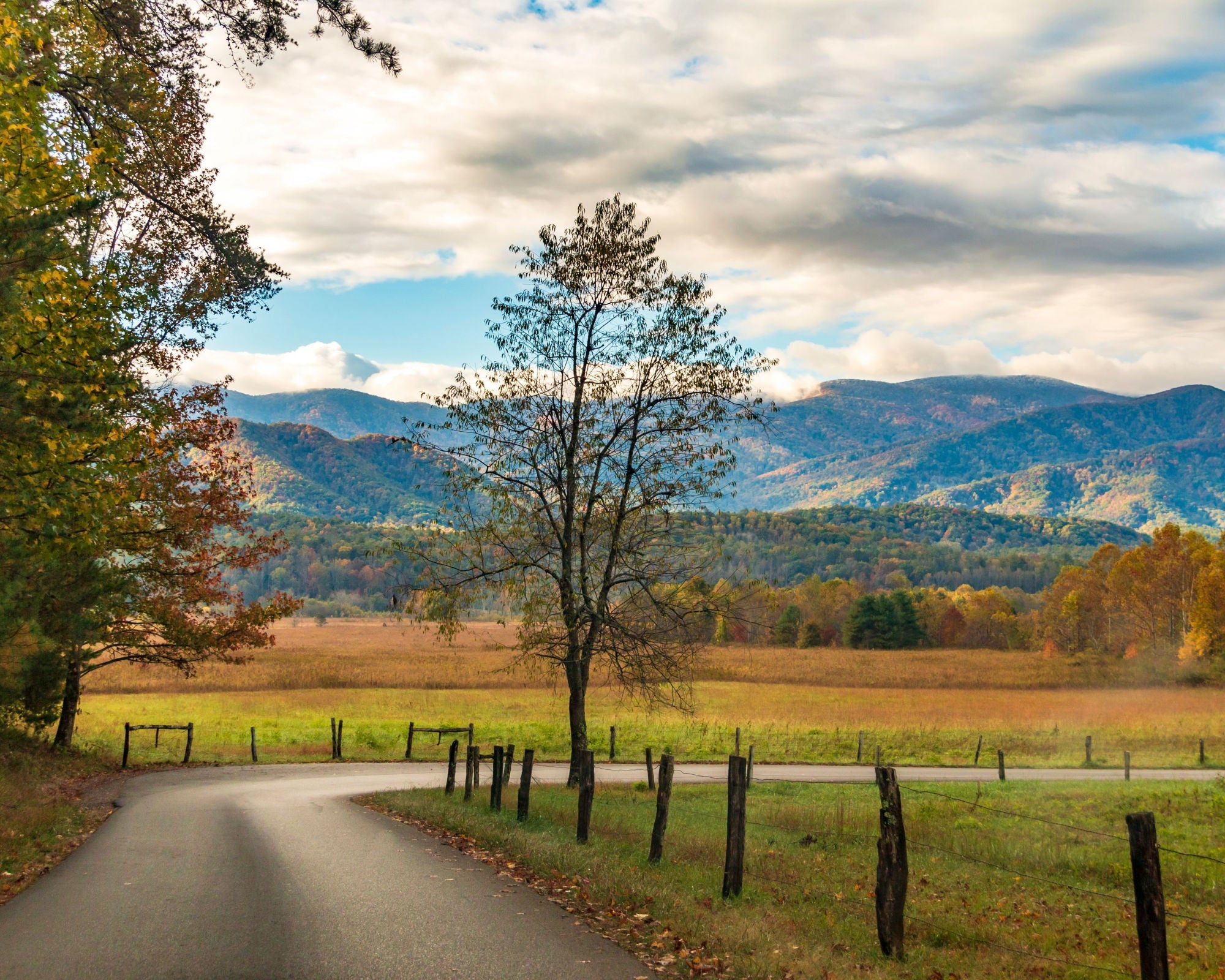 Ride Cades Cove In The Great Smoky Mountains